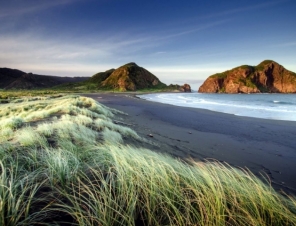 beach in new zealand