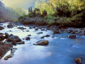 Tasmania River