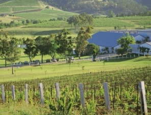 Hunter Valley vinyards