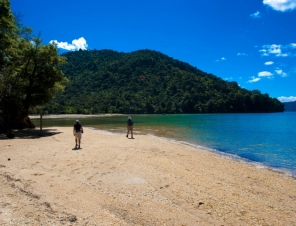 Beach View in the Sounds